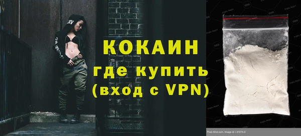 ешки Бородино