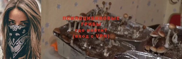 ешки Бородино