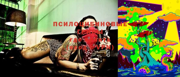 ешки Бородино