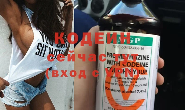 ешки Бородино