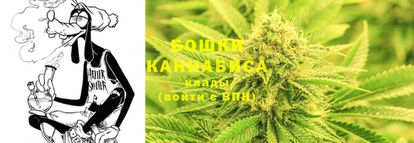ешки Бородино