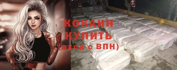 ешки Бородино