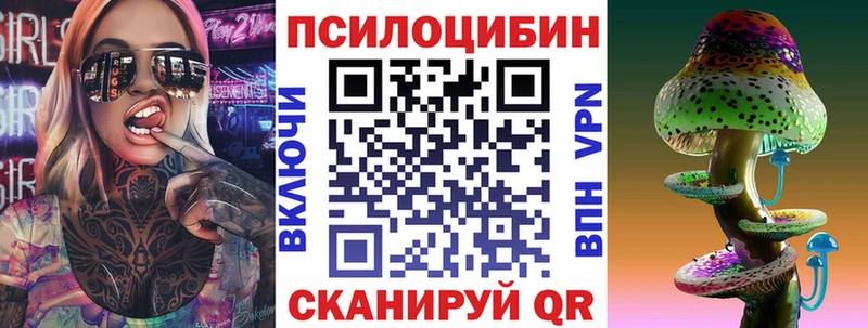 Псилоцибиновые грибы Cubensis  Купить  Выкса 