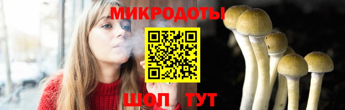 Псилоцибиновые грибы Psilocybine cubensis  Галлюциногенные грибы GOLDEN TEACHER  Выкса  купить наркоту  Вход с VPN 